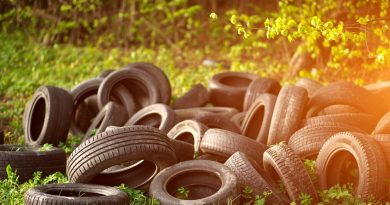 SIGA lanza su primera licitación para la recolección y valorización de neumáticos fuera de uso (NFU) SIGA lanza su primera licitación para la recolección y valorización de neumáticos fuera de uso (NFU)