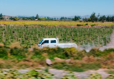 Landking se posiciona como la tercera marca más vendida en minitruck