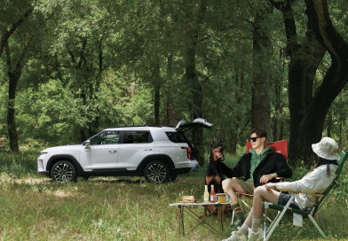 Viajar con mascotas: Cuatro recomendaciones para un trayecto seguro