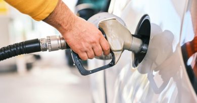 Híbridos se coronan como los favoritos en medio del alza de la bencina